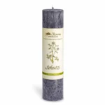 Schutz kräuterkerze